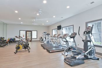 The gym is equipped with cardio equipment and weights